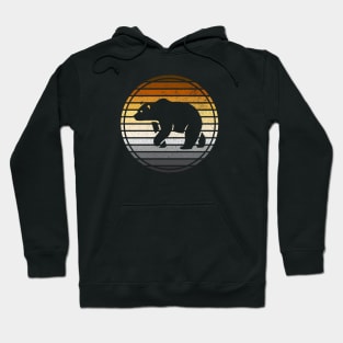 Gay Bear Pride Horizon Silhouette Hoodie